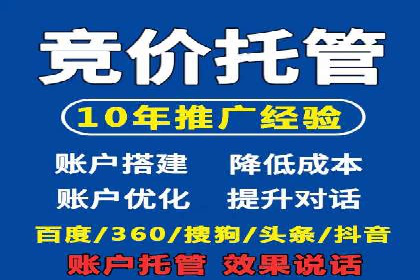 行业案例研究：SEM竞价托管的策略与挑战